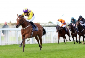 20 October 2019;   SILK FOREST, ridden by Billy Lee defeating Trethias, Shane Foley up, right, and Jumellea, Declan McDonogh up, second left, inThe Naas Racecourse Business Club Irish Europen Breeders Fund Garnet Stakes at Naas.      © Peter Mooney, 59 Upper George's Street, Dun Laoghaire, Co. Dublin, Ireland.    Tel:  00 353 (0)86 2589298