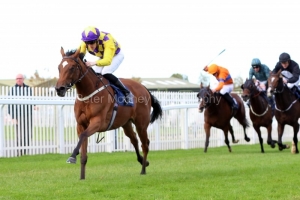 20 October 2019;   SILK FOREST, ridden by Billy Lee defeating Trethias, Shane Foley up, right, and Jumellea, Declan McDonogh up, second left, inThe Naas Racecourse Business Club Irish Europen Breeders Fund Garnet Stakes at Naas.      © Peter Mooney, 59 Upper George's Street, Dun Laoghaire, Co. Dublin, Ireland.    Tel:  00 353 (0)86 2589298