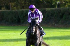 20 October 2019;   HONG KONG and Donnacha O'Brien after their victory in The Tifrums Irish European Breeders Fund Maiden at Naas.      © Peter Mooney, 59 Upper George's Street, Dun Laoghaire, Co. Dublin, Ireland.    Tel:  00 353 (0)86 2589298