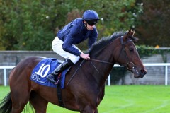 20 October 2019;   LOVE LOCKET and Donnacha O'Brien return after winning The Irish Stallion Farms European Breeders Fund Fillies Maiden at Naas.      © Peter Mooney, 59 Upper George's Street, Dun Laoghaire, Co. Dublin, Ireland.    Tel:  00 353 (0)86 2589298