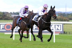 20 October 2019;  MOTHER VINCENT, ridden by Luke McAteer, beating stable companion, Vocal Duke, Willie Byrne up, in The Padraig Fitzgerald Memorial Apprentice Handicap at Naas.      © Peter Mooney, 59 Upper George's Street, Dun Laoghaire, Co. Dublin, Ireland.    Tel:  00 353 (0)86 2589298
