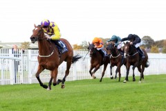 20 October 2019;   SILK FOREST, ridden by Billy Lee defeating Trethias, Shane Foley up, right, and Jumellea, Declan McDonogh up, second left, inThe Naas Racecourse Business Club Irish Europen Breeders Fund Garnet Stakes at Naas.      © Peter Mooney, 59 Upper George's Street, Dun Laoghaire, Co. Dublin, Ireland.    Tel:  00 353 (0)86 2589298