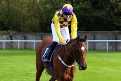 20 October 2019;   SILK FOREST, ridden by Billy Lee after they had won The Naas Racecourse Business Club Irish Europen Breeders Fund Garnet Stakes at Naas.      © Peter Mooney, 59 Upper George's Street, Dun Laoghaire, Co. Dublin, Ireland.    Tel:  00 353 (0)86 2589298