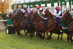 20 October 2019;  The start of The Irish Stallion Farms European Breeders Fund Bluebell Stakes at Naas.      © Peter Mooney, 59 Upper George's Street, Dun Laoghaire, Co. Dublin, Ireland.    Tel:  00 353 (0)86 2589298