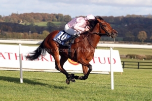 21 October 2018;  SARROCHI, Seamie Heffernan up, winning The Rathasker Clodovil Irish European Breeders Fund Garnet Stakes at Naas.      © Peter Mooney, 59 Upper George's Street, Dun Laoghaire, Co. Dublin, Ireland.    Tel:  00 353 (0)86 2589298