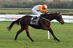 21 October 2018; CEDARS OF LEBANON, Ronan Whelan up, defeating Sunblessed, Killian Leonard up, in The Foran Equine Irish European Breeders Fund Auction Race Final at Naas.      © Peter Mooney, 59 Upper George's Street, Dun Laoghaire, Co. Dublin, Ireland.    Tel:  00 353 (0)86 2589298