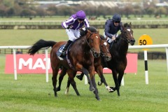 21 October 2018; SAN ANDREAS, Donnacha O'Brien up, winning The Tifrums Irish European Breeders Fund Maiden at Naas.      © Peter Mooney, 59 Upper George's Street, Dun Laoghaire, Co. Dublin, Ireland.    Tel:  00 353 (0)86 2589298