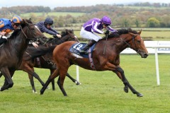 21 October 2018; SAN ANDREAS, Donnacha O'Brien up, winning The Tifrums Irish European Breeders Fund Maiden at Naas.      © Peter Mooney, 59 Upper George's Street, Dun Laoghaire, Co. Dublin, Ireland.    Tel:  00 353 (0)86 2589298