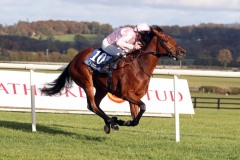 21 October 2018;  SARROCHI, Seamie Heffernan up, winning The Rathasker Clodovil Irish European Breeders Fund Garnet Stakes at Naas.      © Peter Mooney, 59 Upper George's Street, Dun Laoghaire, Co. Dublin, Ireland.    Tel:  00 353 (0)86 2589298
