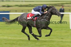 caravaggio-210517pml0799 caravaggio-210517pml0799