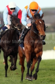 Beset 220326PML00936.jpg