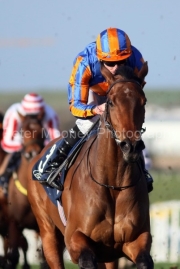 Drop Dead Gorgeous 220326PML00996.jpg