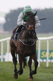 Noble Nation 220326PML0