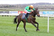 Rowdy Yeats 230325PML0792.jpg