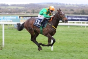 Rowdy Yeats 230325PML0795.jpg