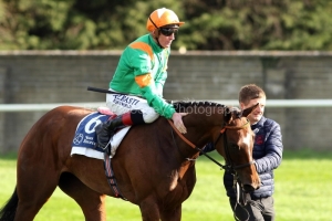 24 March 2019;  Kevin Manning gives NORMANDEL a congratulatory pat after their success in The Lodge Park Stud Irish European Breeders Fund Park Express Stakes at Naas.      © Peter Mooney, 59 Upper George's Street, Dun Laoghaire, Co. Dublin, Ireland.    Tel:  00 353 (0)86 2589298