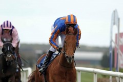 24 March 2019;   NEVER NO MORE, Donnacha O'Brien aboard storms to a convincing success in The Naas Racecourse Business Club Madrid Handicap at Naas.      © Peter Mooney, 59 Upper George's Street, Dun Laoghaire, Co. Dublin, Ireland.    Tel:  00 353 (0)86 2589298