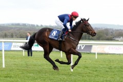 24 March 2019;   RED EPAULETTE, Leigh Roche up, runs out a comfortable winner of The Irish Stallion Farms European Breeders Fund Maiden at Naas.      © Peter Mooney, 59 Upper George's Street, Dun Laoghaire, Co. Dublin, Ireland.    Tel:  00 353 (0)86 2589298