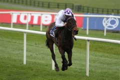 24 March 2019;  SOLAR WAVE and Kevin Manning race to a facile success in The Naas Racecourse Launches The 2019 Irish Flat Season Handicap at Naas.      © Peter Mooney, 59 Upper George's Street, Dun Laoghaire, Co. Dublin, Ireland.    Tel:  00 353 (0)86 2589298