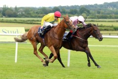 19 July 2019;  DRUMQUINA, Andrew Slattery aboard, holds the challenge of Castletownshend, Billy Lee up, to win The Tom Jones Memorial Maiden at Naas.      © Peter Mooney, 59 Upper George's Street, Dun Laoghaire, Co. Dublin, Ireland.    Tel:  00 353 (0)86 2589298