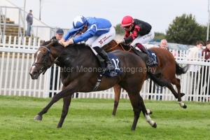 Sky Majesty 240825PML1326.jpg