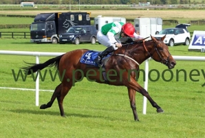 ellthea-240917pml0677