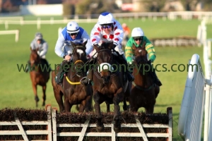 forge-meadow-260217pml0469 forge-meadow-260217pml0469