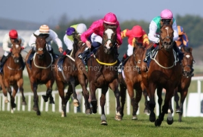 Lafayette 270322PML0538.jpg