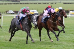 28 March 2021;   Wonder Elzaam, Luke McAteer up, far side, defeating Silver Service, Dylan Browne McMonagle up, in  The Capella Sansevero at Compas Stallions Handicap at Naas.  © Peter Mooney, 59 Upper George's Street, Dun Laoghaire, Co. Dublin, A96 H2R3, Ireland  Tel: 00 353 (0)86 2589298