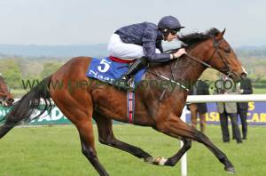 war-envoy-280414pml0266