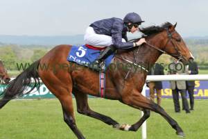 war-envoy-280414pml0266 war-envoy-280414pml0266