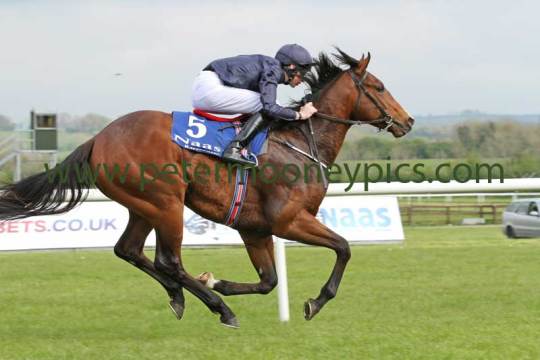 war-envoy-280414pml0269