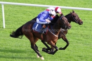 Carlton-Banks-311021PML0206