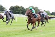 Irish Rumour 050926PML2862.jpg