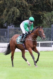 Irish Rumour 050926PML2873.jpg