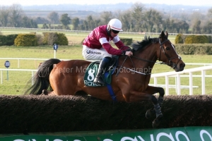 6 March 2021;  Scarlet And Dove, Donagh Meyler up, jumps the final fence before claiming victory in The Flyingbolt Novice Steeplechase at Navan.  © Peter Mooney, 59 Upper George's Street, Dun Laoghaire, Co. Dublin, A96 H2R3, Ireland  Tel: 00 353 (0)86 2589298