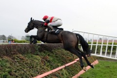 Aran Concerto PML 0081207.JPG