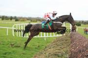 flemenstar-pml-00110684