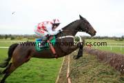 flemenstar-pml-00110691