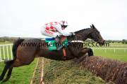 flemenstar-pml-00110692