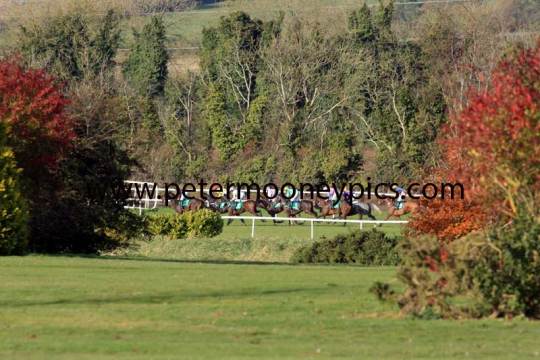 navan-pml-00110560