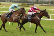Churchstonewarrior 120223PML0333.jpg
