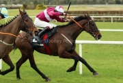 Churchstonewarrior 120223PML0336.jpg