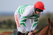 Davy Russell 120223PML0226.jpg