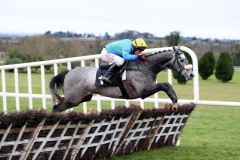 Donnas Palm PML 0082551.JPG