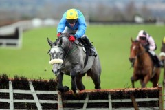 Donnas Palm PML 0082556.JPG