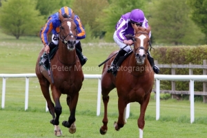 15 May 2021;  Sir Lucan, Wayne Lordan up, striped cap, overcomes Wordsworth, Seamie Heffernan up, to win The Irish Stallion Farms European Breeders Fund Yeats Stakes at Navan.© Peter Mooney, 59 Upper George's Street, Dun Laoghaire, Co. Dublin, A96 H2R3, Ireland  Tel: 00 353 (0)86 2589298