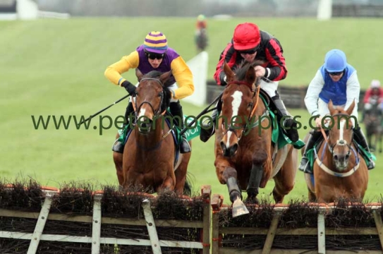 mike-mccann-150215pml351