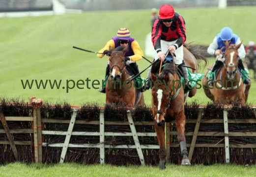 mike-mccann-150215pml352