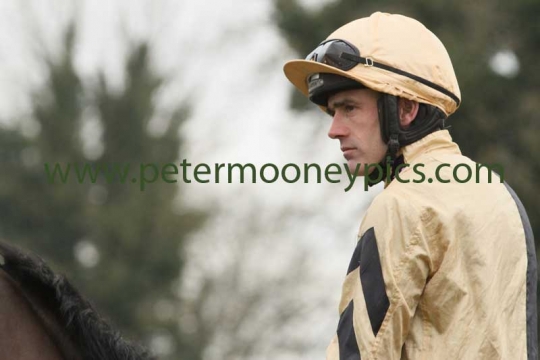 ruby-walsh-150215pml366